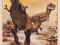 Dinozaur - Tyranozaur Rex - plakat 91,5x61 cm