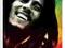 Bob Marley - Rasta Reggae - plakat 91,5x61 cm