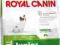 ROYAL CANIN x-small Junior 0,5kg psy miniaturowe