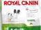 ROYAL CANIN x-small Adult 0,5kg psy miniaturowe