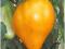 Pomidor ORANGE STRAWBERRY pomaranczowa truskawka