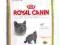 Royal Canin British Shorthair 34 - 4kg.