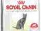 ROYAL CANIN STERILISED 2 KG WARSZAWA !!!