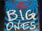 AEROSMITH  big ones