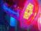 AMERICAN DJ PAR 64 LED RGB 36x1W MOCNY SOLIDNY SR.