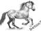 Rysunek Koń Andaluzyjski