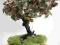 bonsai sztuczne drzewko ozdoba domu, Dąb