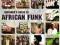 Beginners Guide To African Funk (3CD)