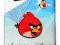 Pościel Angry Birds - 100% Bawełna - Real Foto