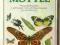 MOTYLE - PATRZĘ PODZIWIAM POZNAJĘ ćmy owady motyl