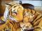 TYGRYS PANTERA pluszowe z dzieckiem 130cm tygrys