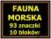 FAUNA MORSKA - zestaw 93 znaczków i 10 bloków #8
