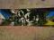 FORUM SNOWBOARD 156 CM. YOUNGBLOOD