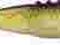 Ripper Dragon V-Lures RENO KILLER 6cm - 5szt.