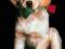 Piesek Z Różą - Pies - Psy - plakat 91,5x61 cm