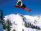 Snowboard - Bones Heal - RÓŻNE plakaty 91,5x61cm