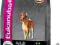 EUKANUBA ADULT MEDIUM 15kg+ 3 x DVD GRATIS!!!