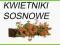 Kwietnik RP-05 brąz 84 cm z drewna sosnowego !HIT