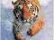 Tygrys (Dziki bieg) - plakat 61x91,5 cm