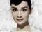 Audrey Hepburn (white) - plakat 40x50 cm