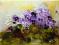 Obraz olejny---- FIOŁKI- 15/20