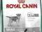 ROYAL CANIN MINI STERILISED 1,5kg FRISBEE GRATIS