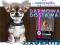 KARMA Eukanuba Adult Large 15kg + 25 x GRATIS