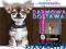 KARMA Eukanuba Adult Medium 15kg + 25 x GRATIS