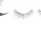 ARDELL Lashes sztuczne rzęsy Sexies Black Natural