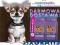 KARMA Eukanuba Puppy Junior Large 2x15kg+25xGRATIS