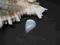 Naturalny Kamień Księżycowy 21x15x7mm