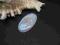 Naturalny Kamień Księżycowy 38x21x5,5mm
