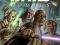 STAR WARS KOMIKS 9/2010 MACE WINDU POKAZ MOCY