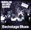 BERLIN BLUES BAND  Backstage Blues      super stan