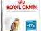 Royal Canin Light40 10kg  POMÓŻ rottka.pl
