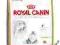 Royal Canin Persian30 10kg   POMÓŻ rottka.pl