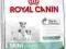 ROYAL CANIN Mini Mother&Babydog 8,5 kg rottka