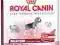 ROYAL CANIN Medium Light27 13 kg POMÓŻ rottka.pl