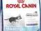 ROYAL CANIN Maxi Junior Active 30 kg GRATIS rottka
