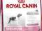 ROYAL CANIN Medium Junior 10 kg POMÓŻ rottka.pl