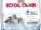ROYAL CANIN Maxi Starter 30 kg GRATIS rottka.pl