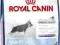ROYAL CANIN Maxi Junior 15 kg POMÓŻ rottka.pl