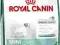 ROYAL CANIN Mini Junior 8,5 kg POMÓŻ rottka.pl