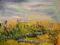 Pejzaż  letni40x30 cm Olejny .Baranowska