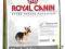 ROYAL Yorkshire Terrier29 JUNIOR 8kg rottka.pl