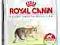 Royal Canin Outdoor30 4kg   POMÓŻ rottka.pl
