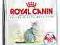 Royal Canin Indoor27 2kg  POMÓŻrottka.pl