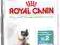 Royal Canin Intense Hairball34 4kg POMÓŻrottka.pl