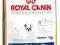 ROYAL CANIN French Bulldog26 ADULT 4kg rottka.pl