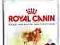 ROYAL CANIN Mini Indoor 500g POMÓŻ rottka.pl